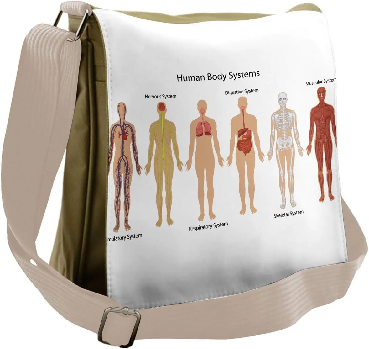 Ambesonne Anatomy Messenger Bag, Skeleton System, Unisex Cross-body