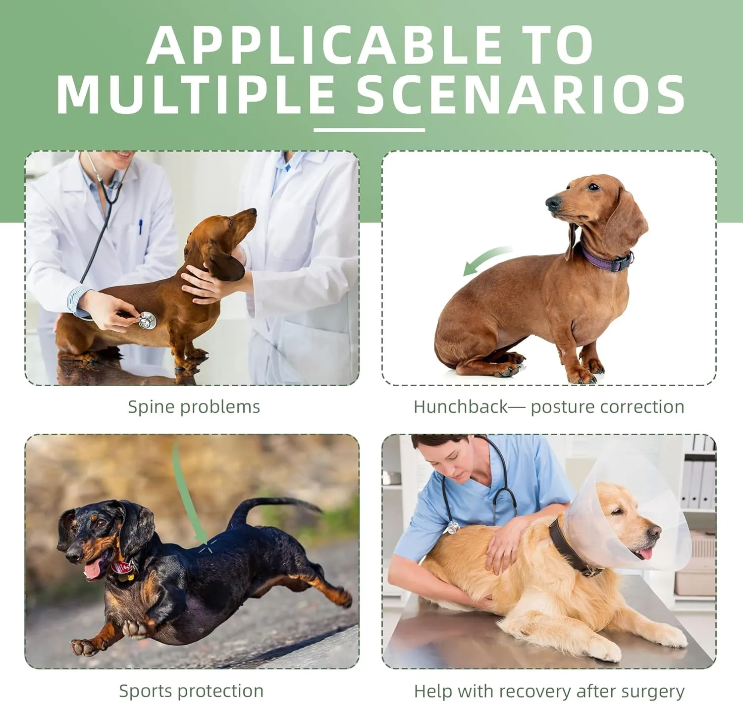 Custom IVDD Dog Back Brace | Adjustable Post-Surgery Support & Arthritis Relief | Vet-Approved Spinal Brace with Removable Support Rods | Tailored Fit for Small/Large Dogs