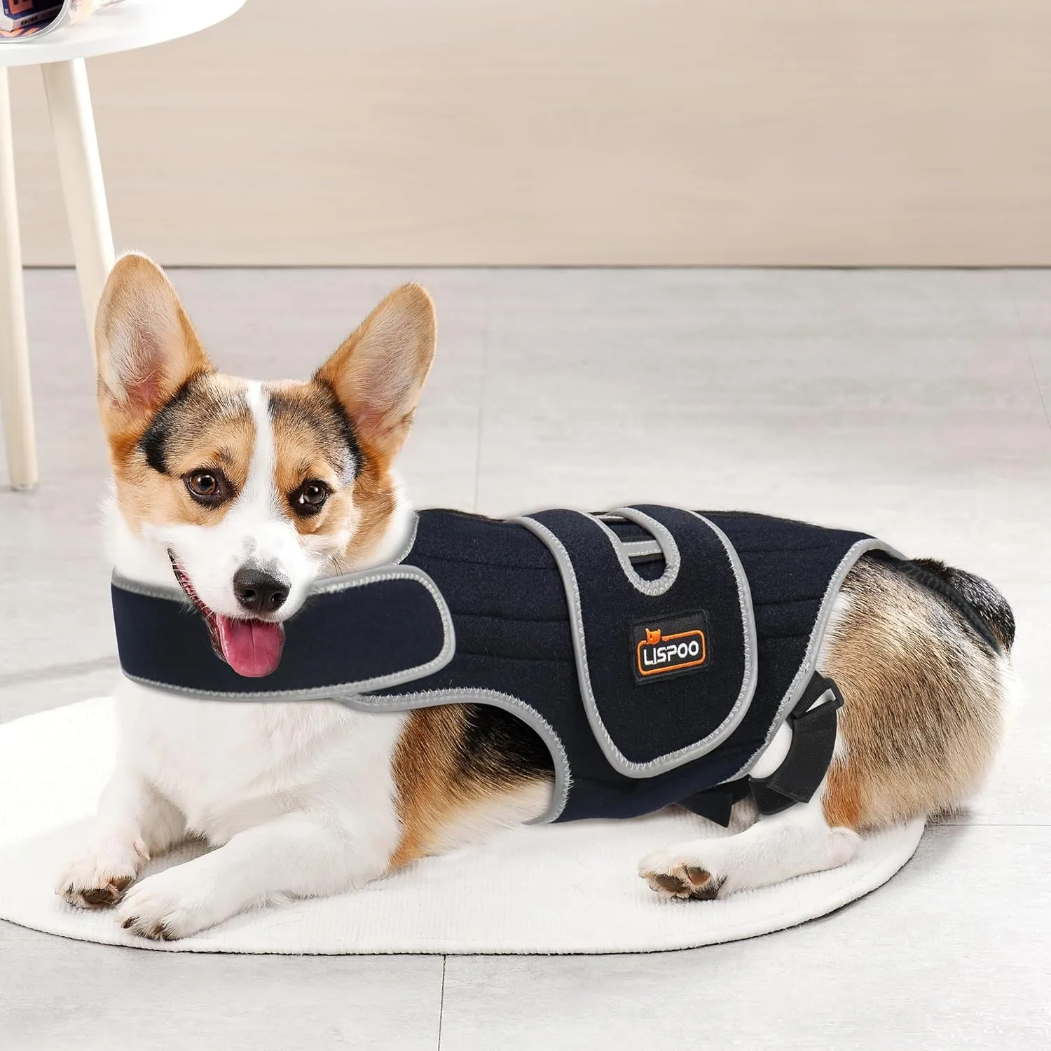 Custom IVDD Dog Back Brace | Adjustable Post-Surgery Support & Arthritis Relief | Vet-Approved Spinal Brace with Removable Support Rods | Tailored Fit for Small/Large Dogs