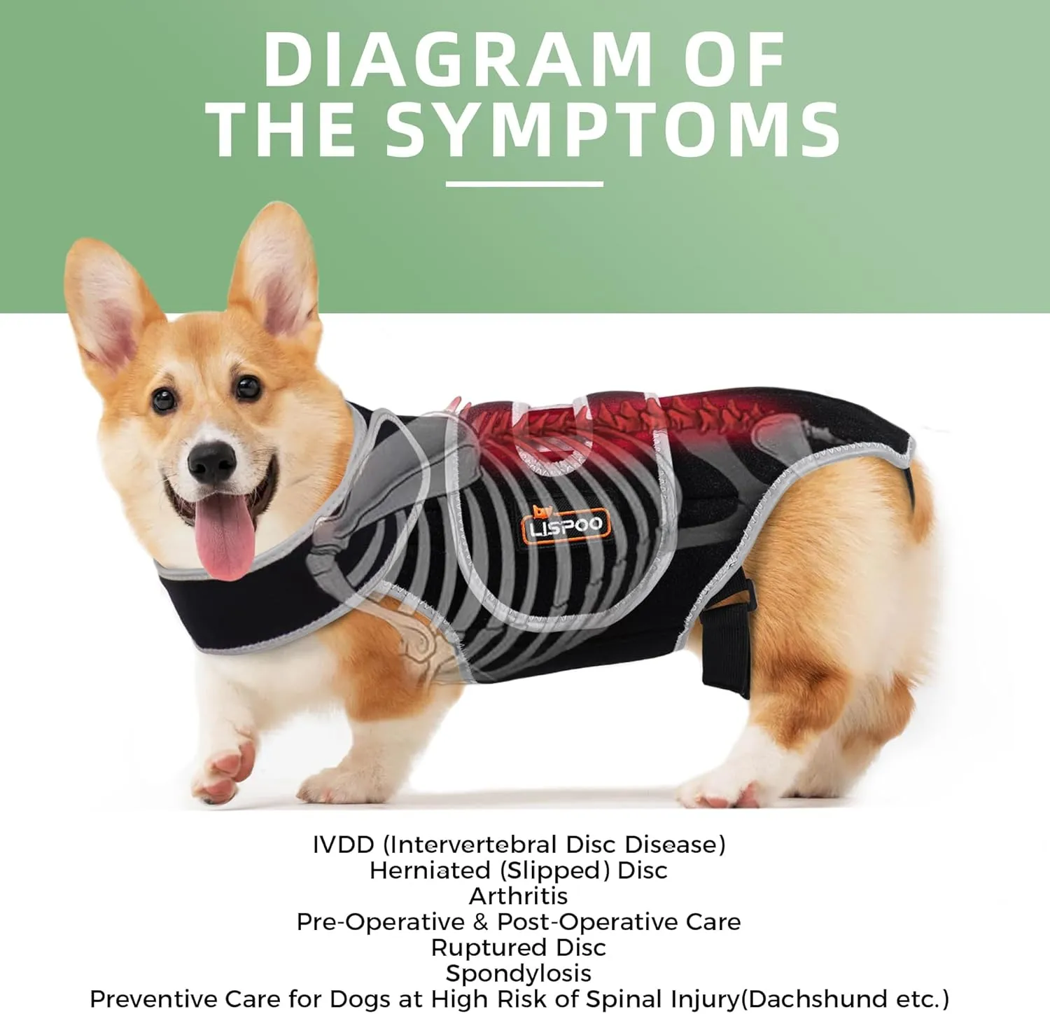 Custom IVDD Dog Back Brace | Adjustable Post-Surgery Support & Arthritis Relief | Vet-Approved Spinal Brace with Removable Support Rods | Tailored Fit for Small/Large Dogs
