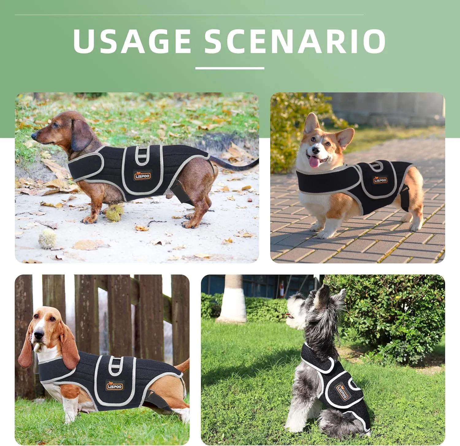 Custom IVDD Dog Back Brace | Adjustable Post-Surgery Support & Arthritis Relief | Vet-Approved Spinal Brace with Removable Support Rods | Tailored Fit for Small/Large Dogs