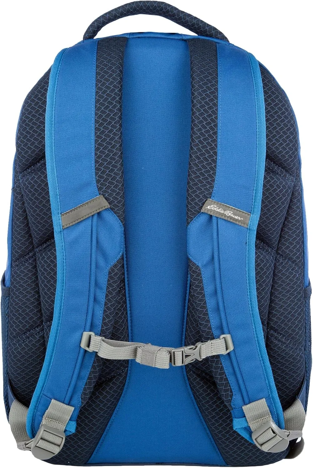 Eddie Bauer Backpack with Organization Compartments and Hydration/Laptop Compatible Sleeve, Adventurer-True Blue, 25L