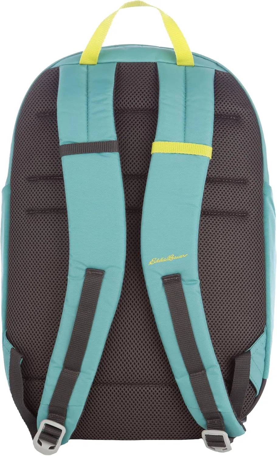 Eddie Bauer Venture Backpack with Organization Compartments and Hydration/Laptop Compatible Sleeve, Dusty Jade, 20L
