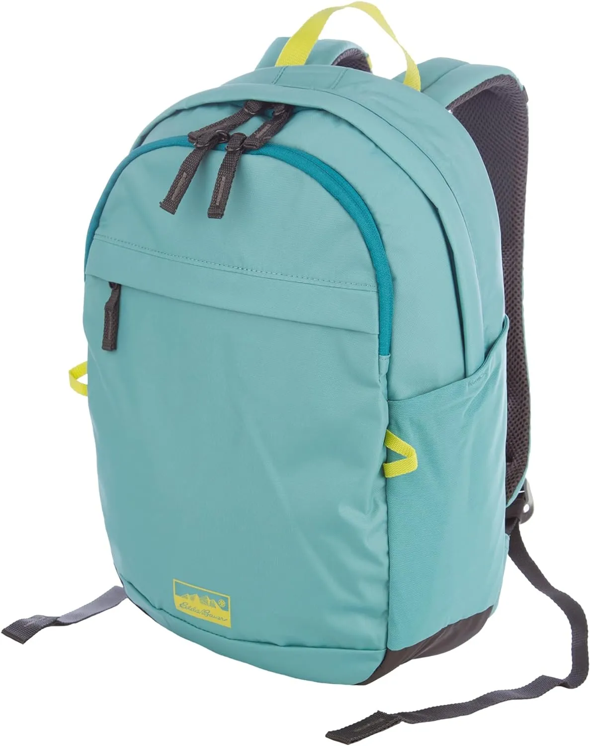 Eddie Bauer Venture Backpack with Organization Compartments and Hydration/Laptop Compatible Sleeve, Dusty Jade, 20L