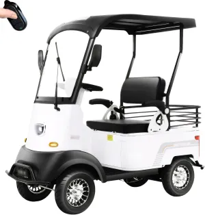 Electric Golf Cart for Adults, Electrically Powered Motor Vehicles, Ideal for Golf Course, Outdoor Leisure and Senior Living