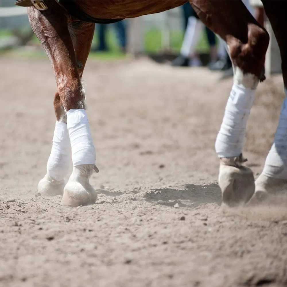 Horse Polo Wraps 2.5m Soft Fleece Polo Wraps Equestrian Leg Bandage Wrap Set of 4 Packs (White - 2.5m)