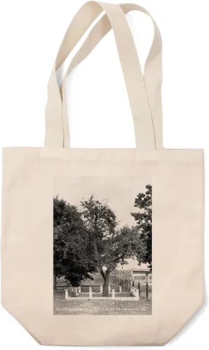 Lantern Press Vancouver, Washington, View of The Oldest Apple Tree in The Northwest (100% Cotton Canvas Reusable Tote Bag)
