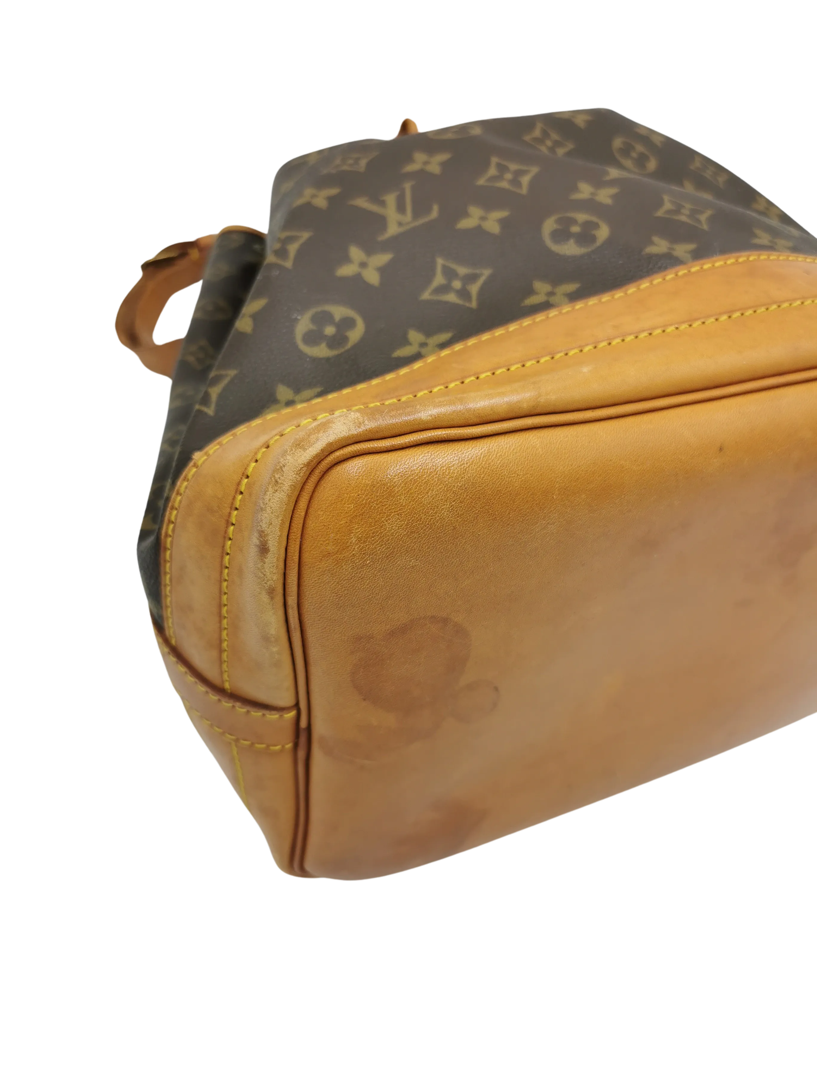 Monogram Canvas Noé