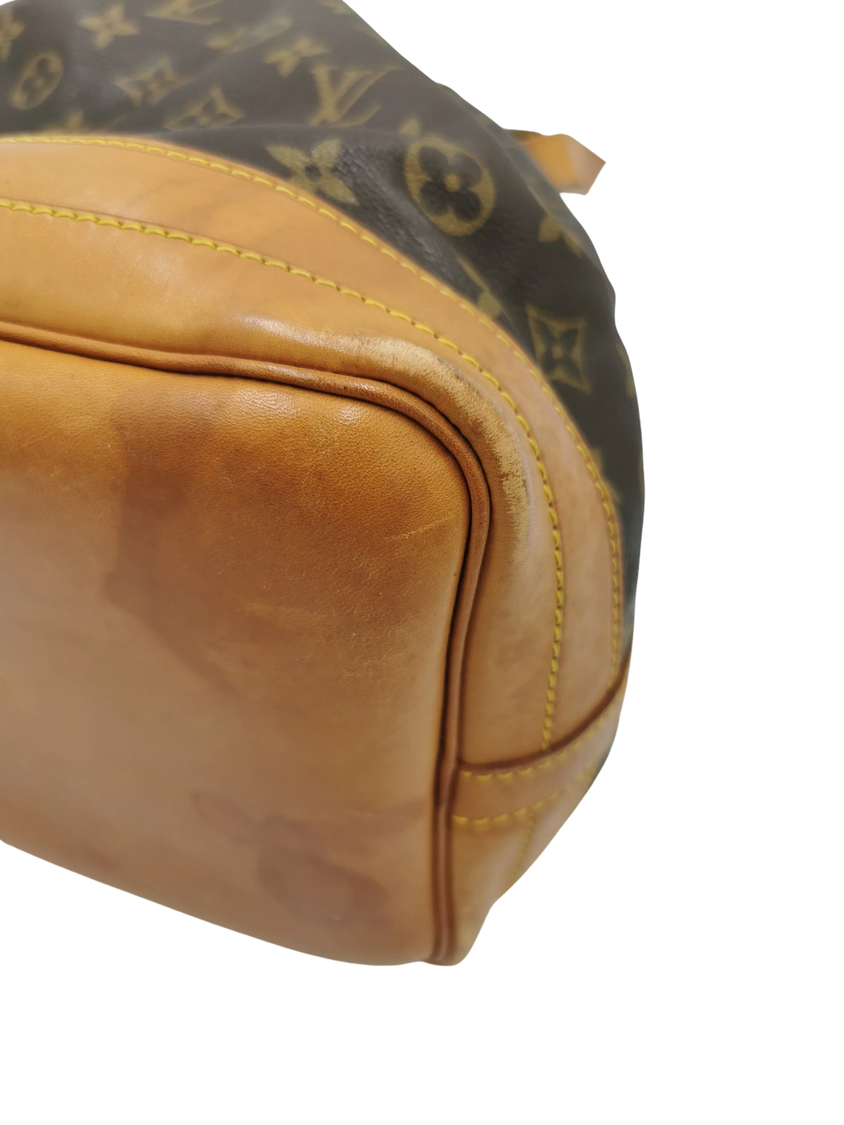 Monogram Canvas Noé