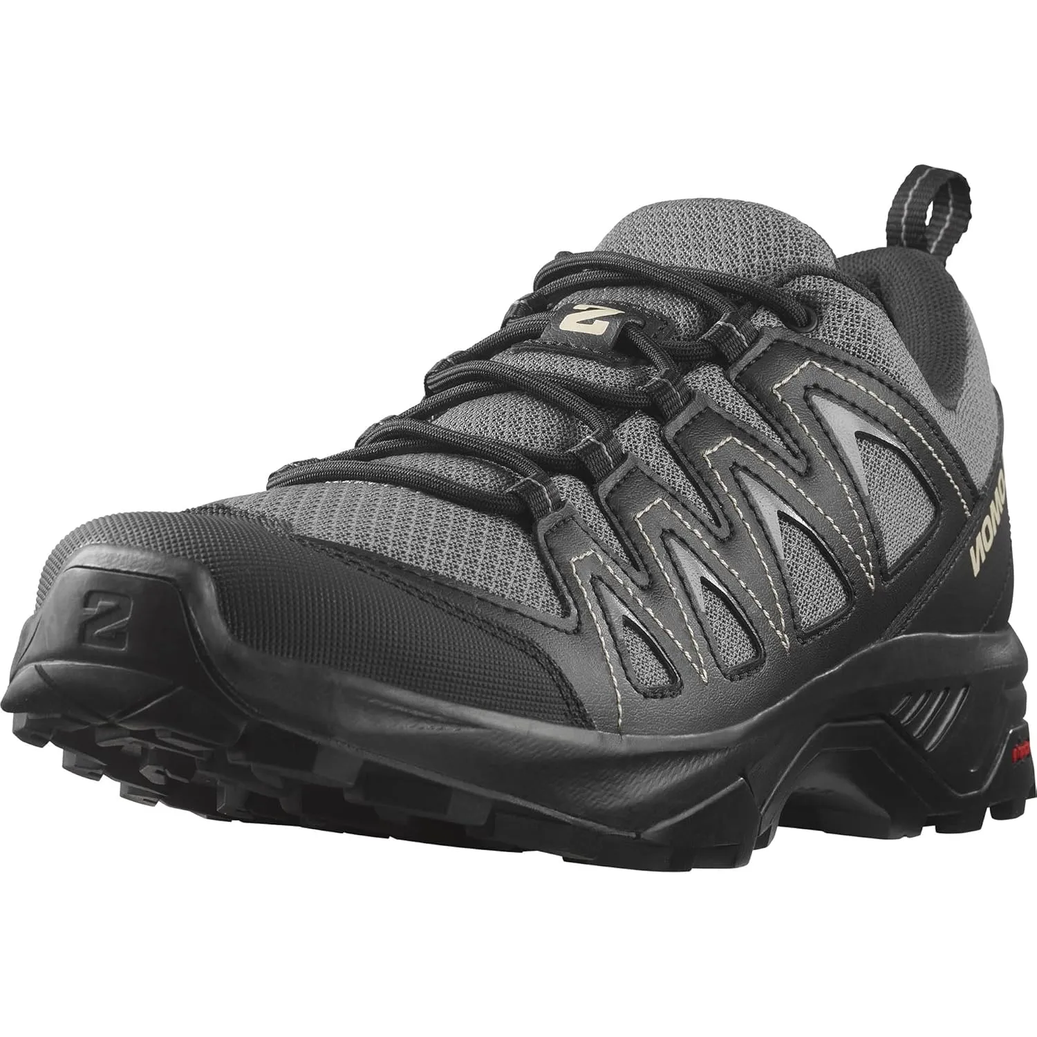 Salomon Men's X BRAZE Hiking Shoes for Men, Pewter / Black / Feather Gray,10