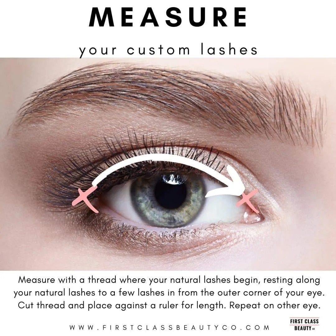 The Best False Eyelashes | Albany