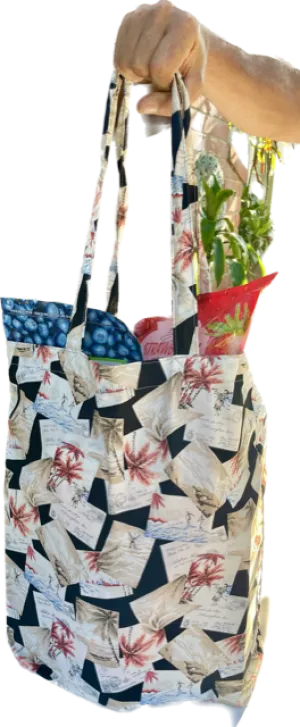 TS- Postcards from Hawaii Travel Shopper