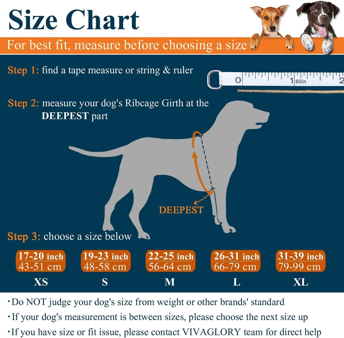 VIVAGLORY Sports Style Dog Life Jacket with Adjustable & Durable, Extra Flotation Swim Life Vest with Secure Fastening System for Medium Dogs, Blue