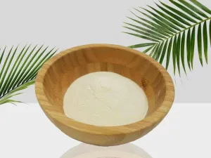 Xanthan Gum 100g